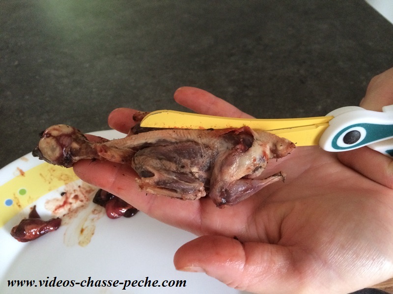 recette grive crapaudine recette grive crapaudine